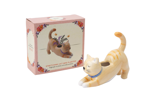 stretching Cat Mini Indoor Air Planter With Gift Box Pets For Home
