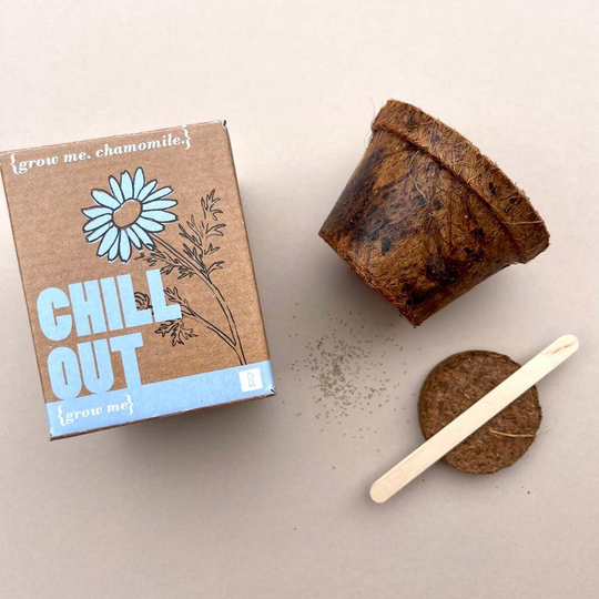 Grow Me Chill Out Chamomile Gift Box