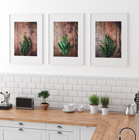 Set Of 3 Herb Prints, Food Prints Trio, Rosemary Sage Thyme Wall Art, Herbs & Spices Kitchen Decor, Cafe Art