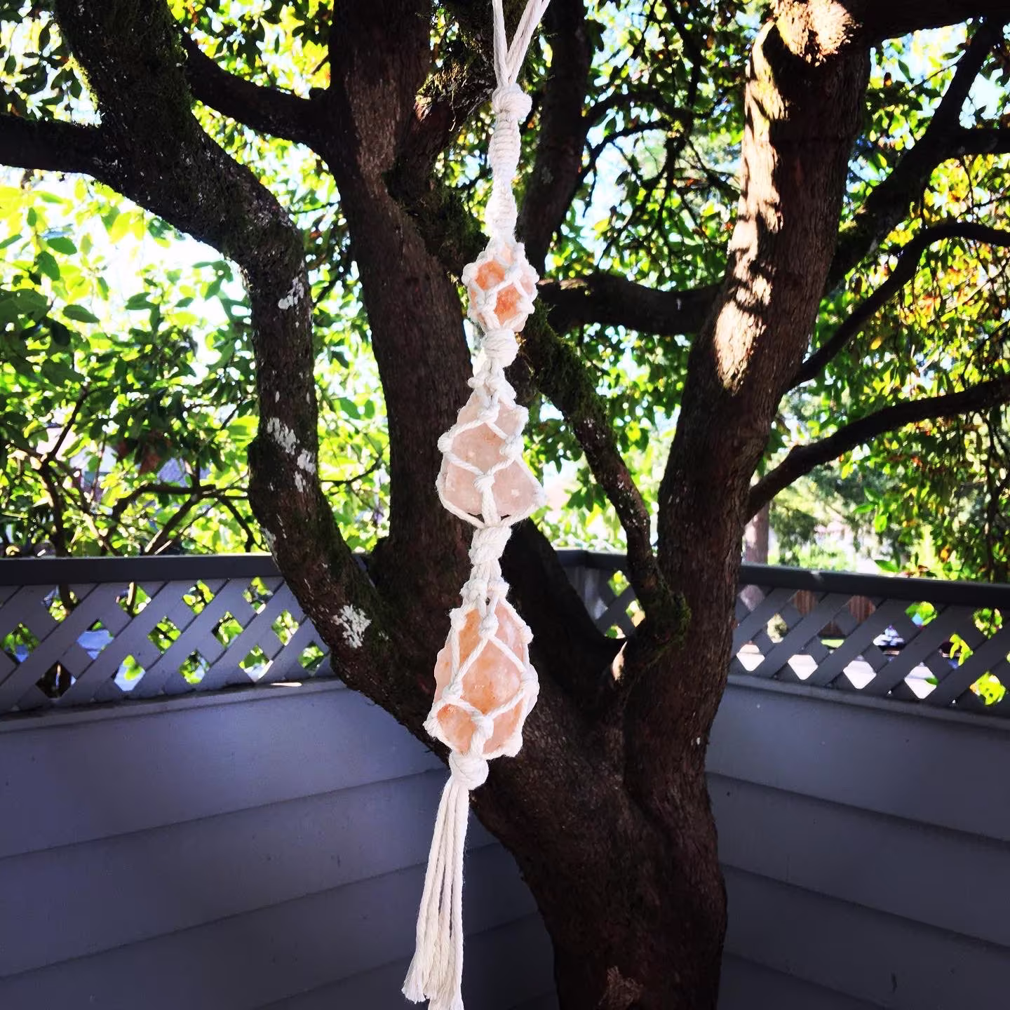 Hanging Himalayan Salt Rocks