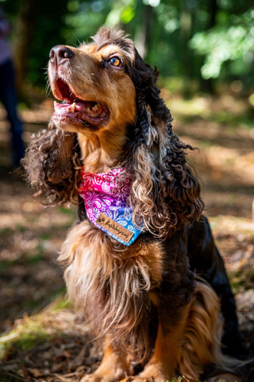 Dog Bandana, Organic Cotton & Cork