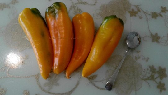 Pepper Seeds Cardinal About 30