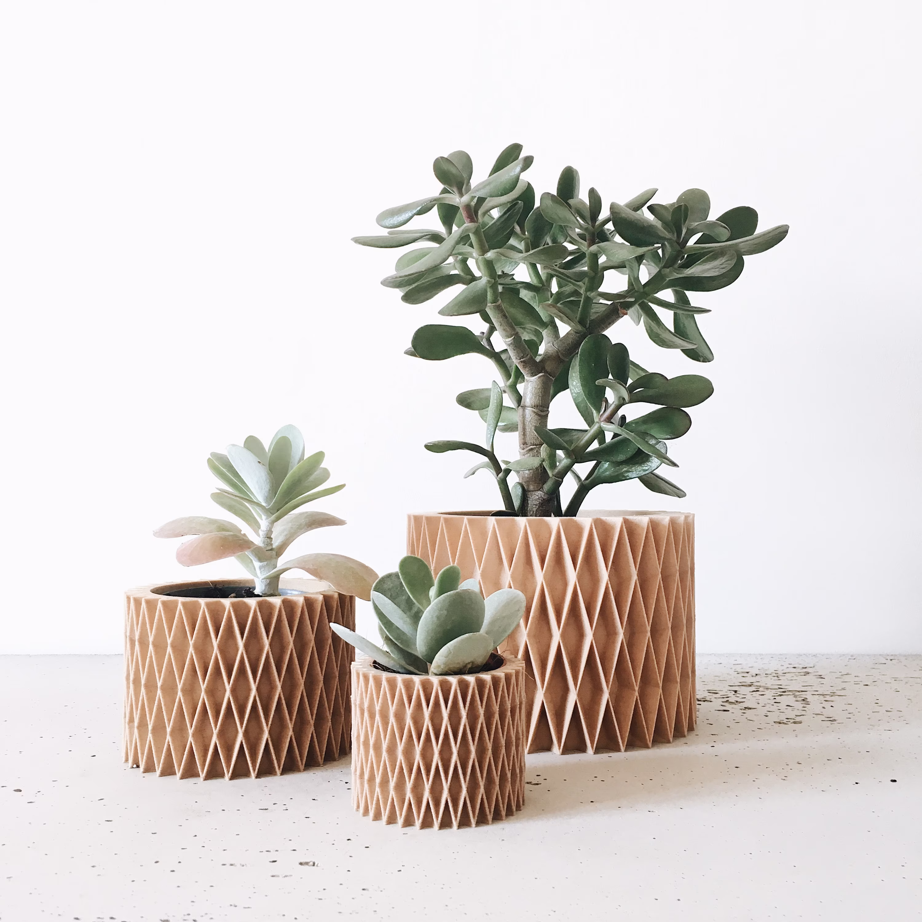 Indoor Planter Perfect For Succulents Or Cacti - Croix