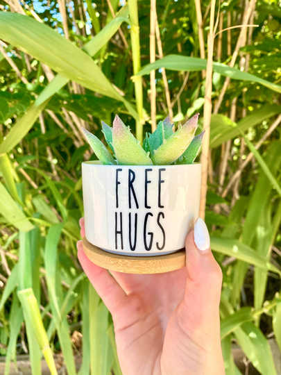 Free Hugs Succulent Planter | Flower Pot Plant Lady Funny Planters Plants Cactus