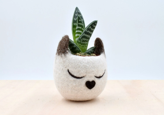 Siamese Cat Lovers | 7Th Anniversary Gift For Her, Home Decor, Pet Lover, Mini Succulent Planter, Cat Small Pot, Accessories