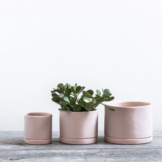 Tabletop Planter With Tray in Freckled Pink