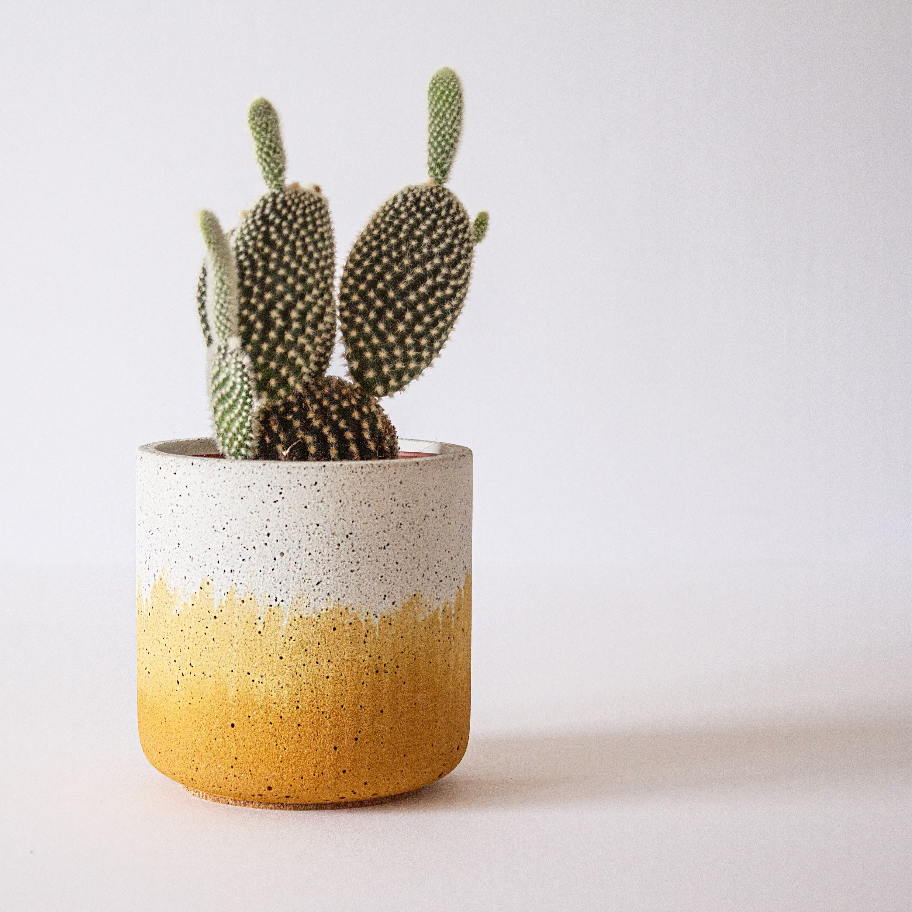 Ochre Fade Pot, Various Sizes Available