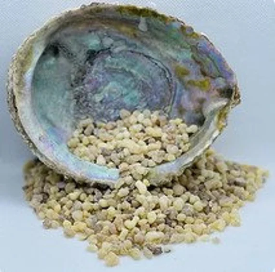 Frankincense 50G
