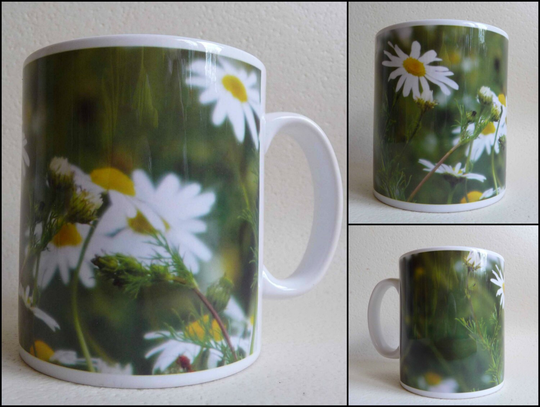 Art Print Mug, Printed Image, Nature Scene, Camomile Flower, Herbs, Natural, Woodlands, Forest, Woods, Flowers, Plants 11 Oz, Tea, Coffee, Cup