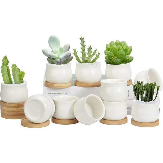 Briday - 12 Pack Succulent Pots, 2.6 Inch Mini Ceramic Pots for Flower or Cactus with Drainage Hole, Small Pots for Plants, Plants Not Included