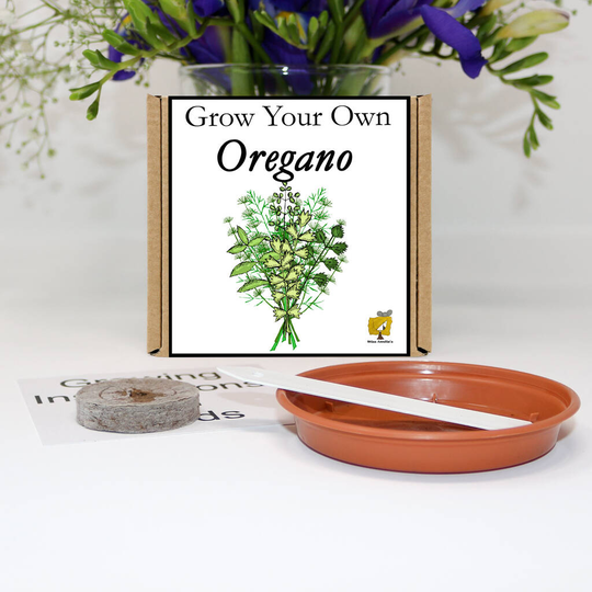 Grow Your Own Oregano Gift Set