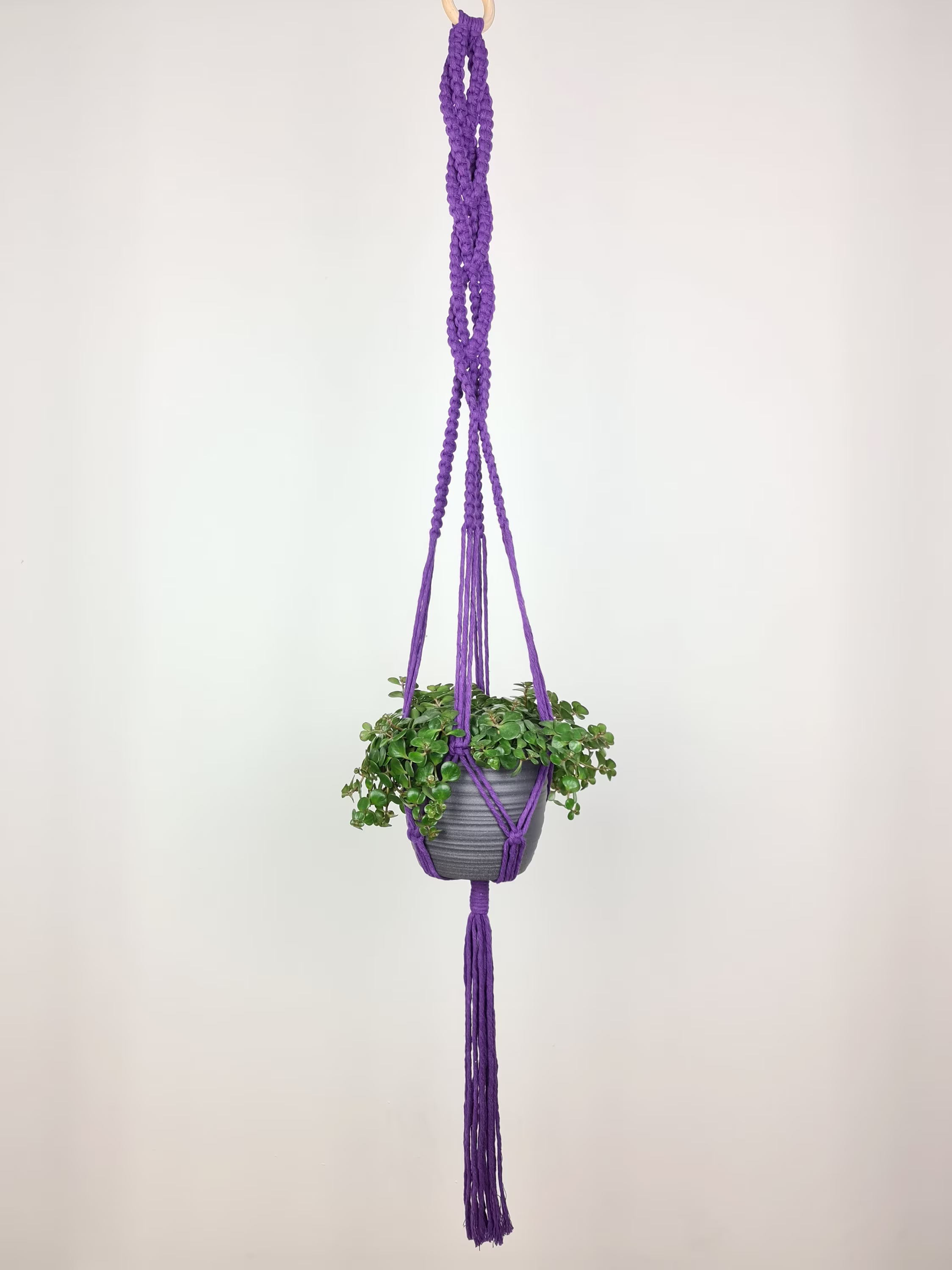 Purple Plant Hanger | Cotton Wooden Ring Hanging Decoration Natural Handmade Boho Violet Flower