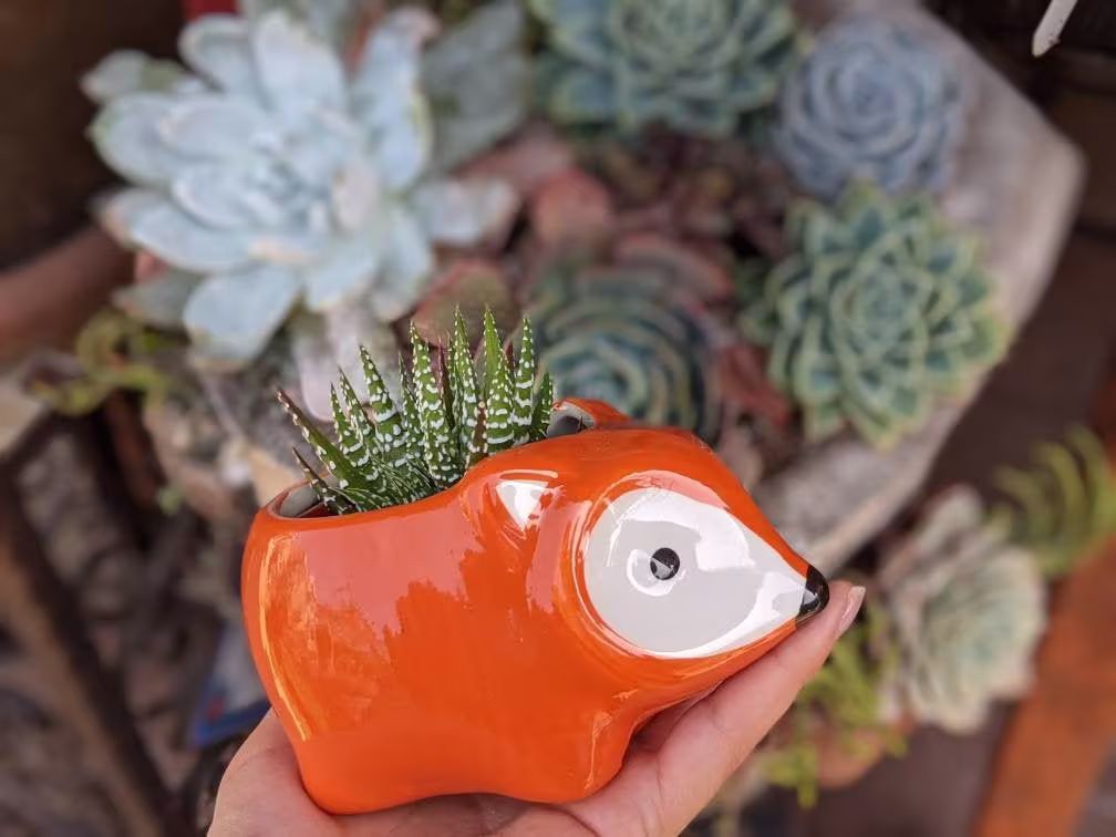 Ceramic Fox Planter With Succulent | Cute Animal Live Plant Potted In