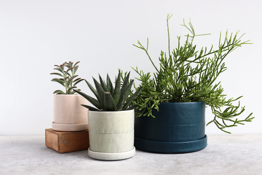 Round Pinched Planter With Plate - Seafoam