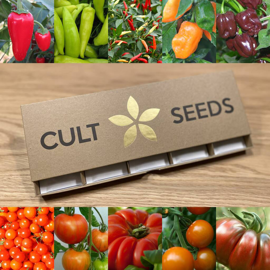 Grow Your Own Chilli And Tomato Seed Selection Pack
