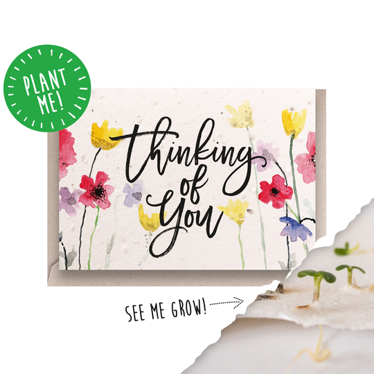 Plantable Seed Card/Thinking Of You Sympathy Forget-Me-Not Seeds British Wildflowers