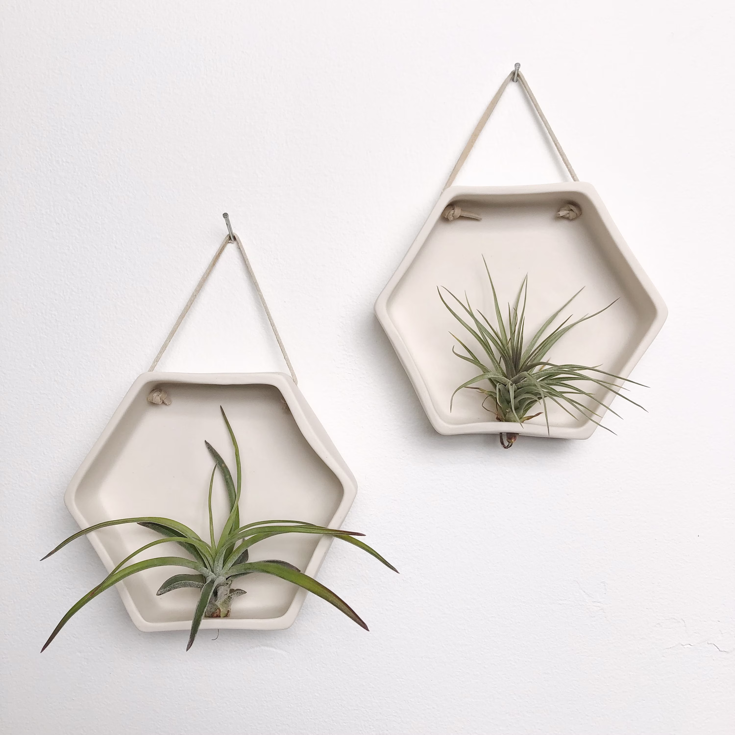 Porcelain Hexagon Air Plant Holder, Wall Hanging Planter, Planter