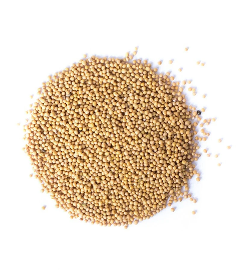 White Mustard Seeds 200G Sinapis Alba - Whole Dried Quality Herbs & Spices