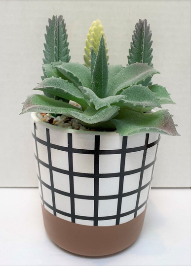 Colorful Faux Succulent Arrangement in Black & White Design Container - Last One