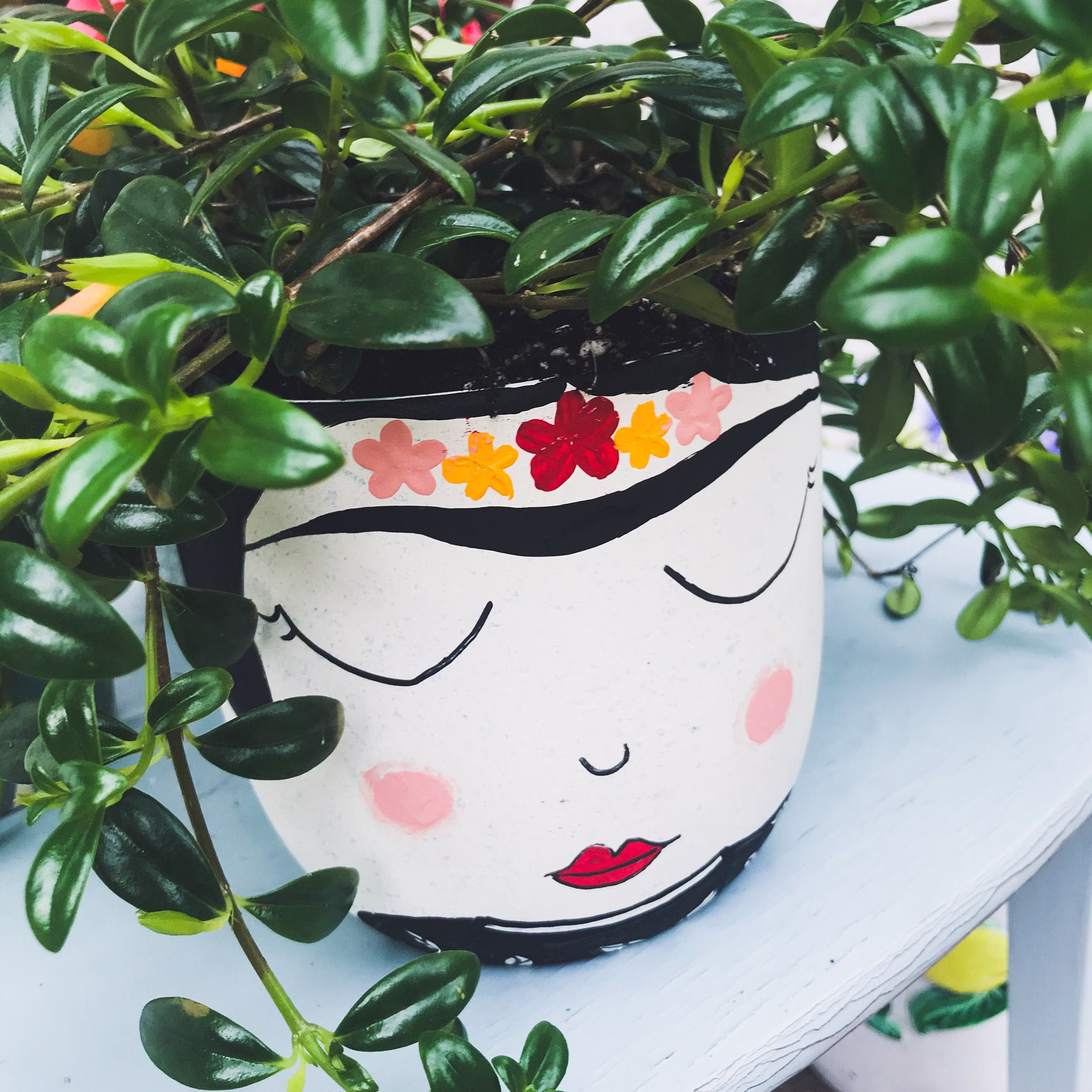 Face Pots