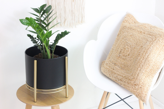 Metal Black Standing Planter Pot With Modern Gold Plant Stand