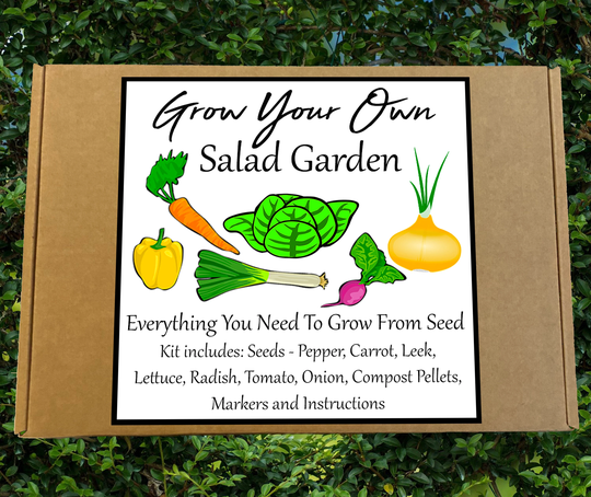 Salad Garden Seed Kit - Grow Your Own Veg | Allotment Gardening Birthday Kids Summer Sustainable Organic Gift