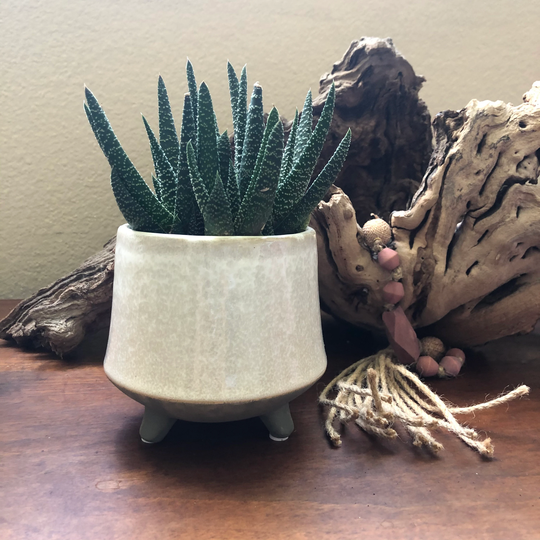 Beige Footed 4 Inch Planter