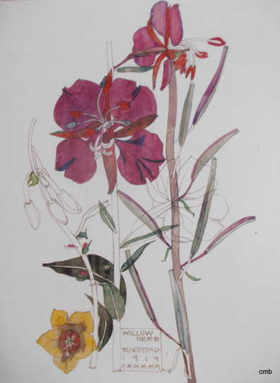 Willow Herb - Art Nouveau Charles Rennie Mackintosh Mounted Print 10" X 8