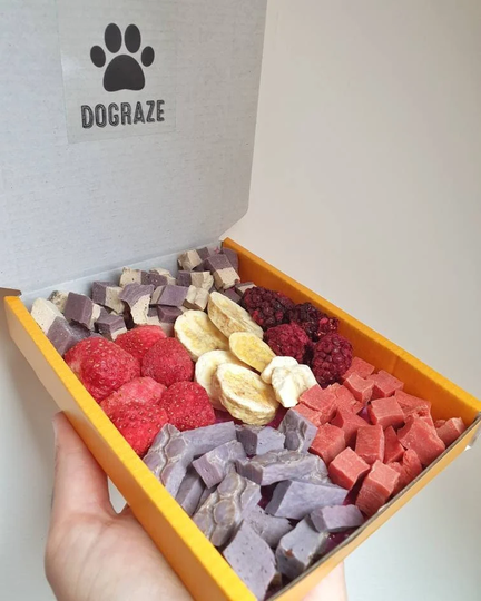 Healthy Dog Treats, Vegan Low Fat Natural Organic Training, Health