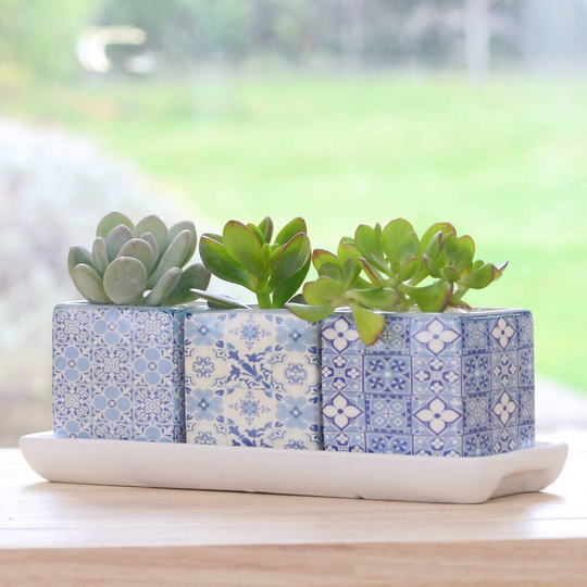 Set Of Three Blue Ceramic Square Pots