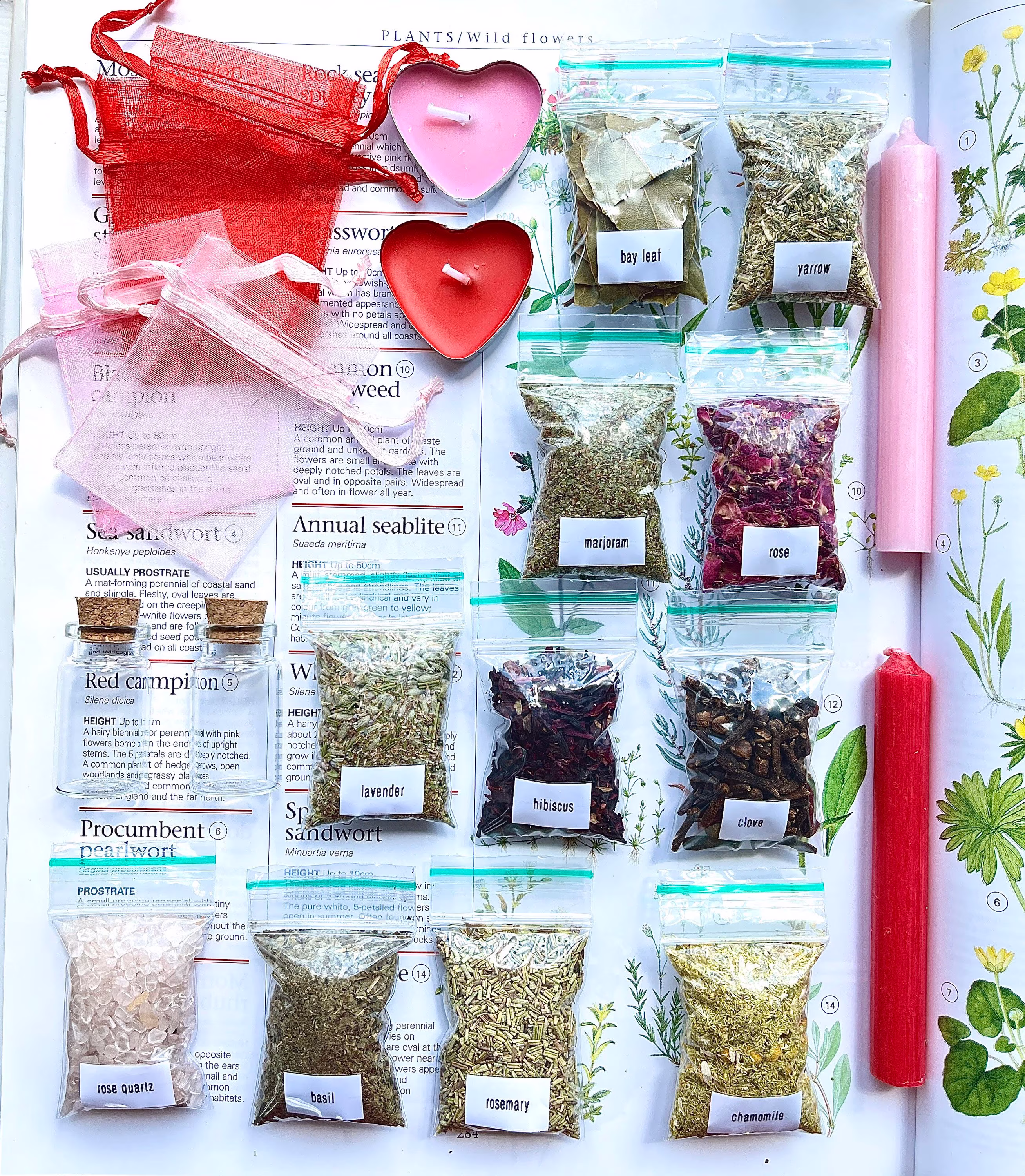 Essential Love Spell/Witch Kit - 21 Piece