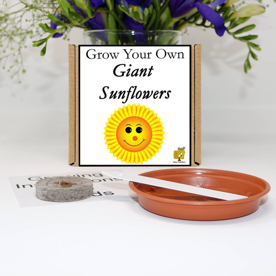 Grow Your Own Sunflower Plant Gift Set