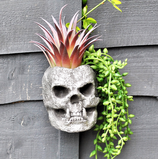 Skull Planter, Gothic Plant Pot, Wall Hanging Skull, Free Standing Pots, Mythical Beast Garden Alternative