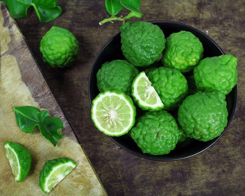 25 - 2.000 Fresh Seeds Fresh Seeds Organic Kaffir Lime Makrut Mauritius Papeda Citrus Fruit Hystrix