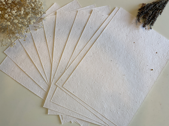 Wholesale Seeded Paper Wildflower/Card Plain - Eco Friendly Print At Home Craft With Seed Mix