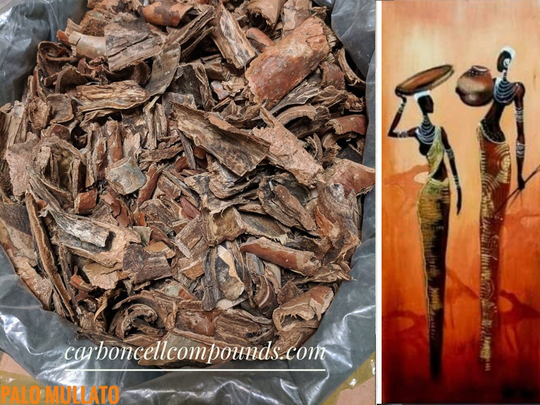 Copper Wood | Bursera Simaruba | Country Origin. Caribbean Mountains Free Shipping
