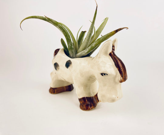 Vintage Hand Painted Ceramic Horse Planter - Made in Japan Excellent For Air Plants