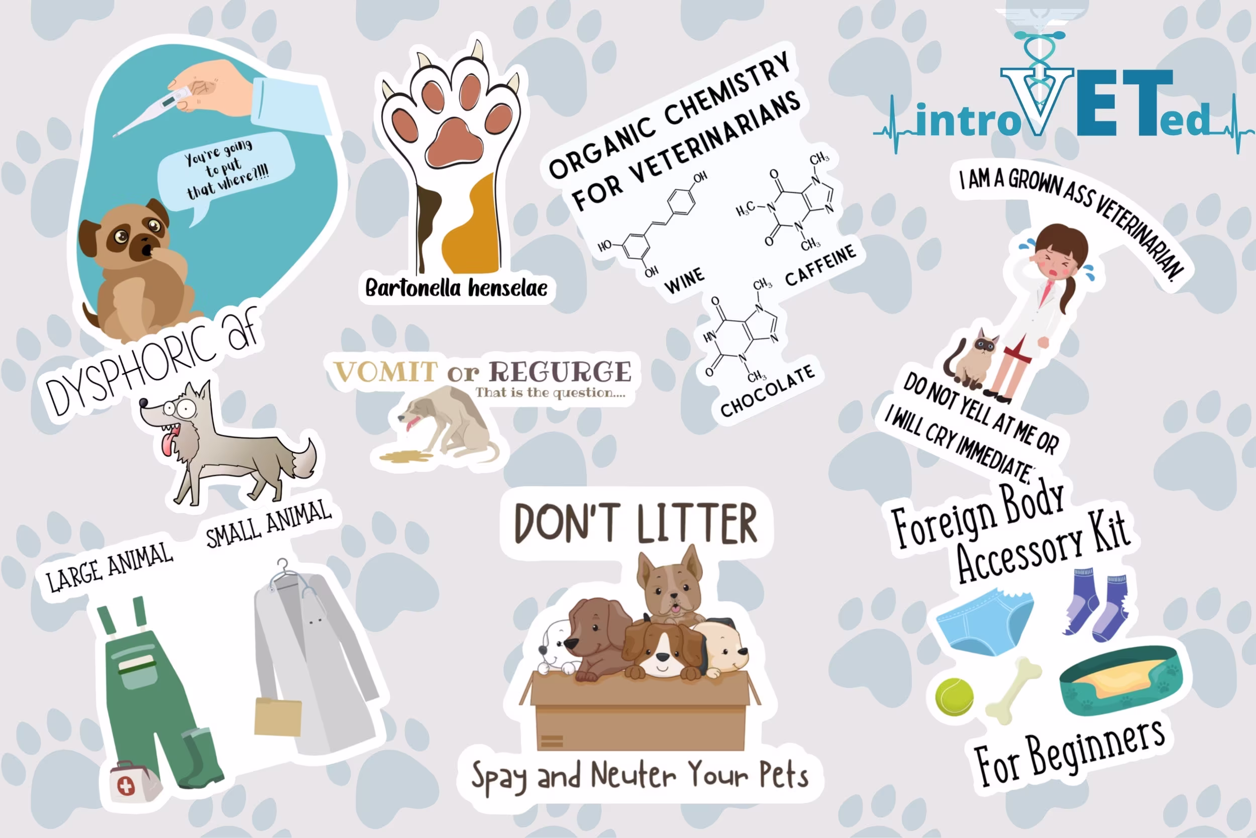 Surprise Veterinarian Sticker 5-Pack, Mystery 5-Pack, Vet Student Stickers, Vet Tech Stickers, Laptop Stickers, Water Bottle Stickers