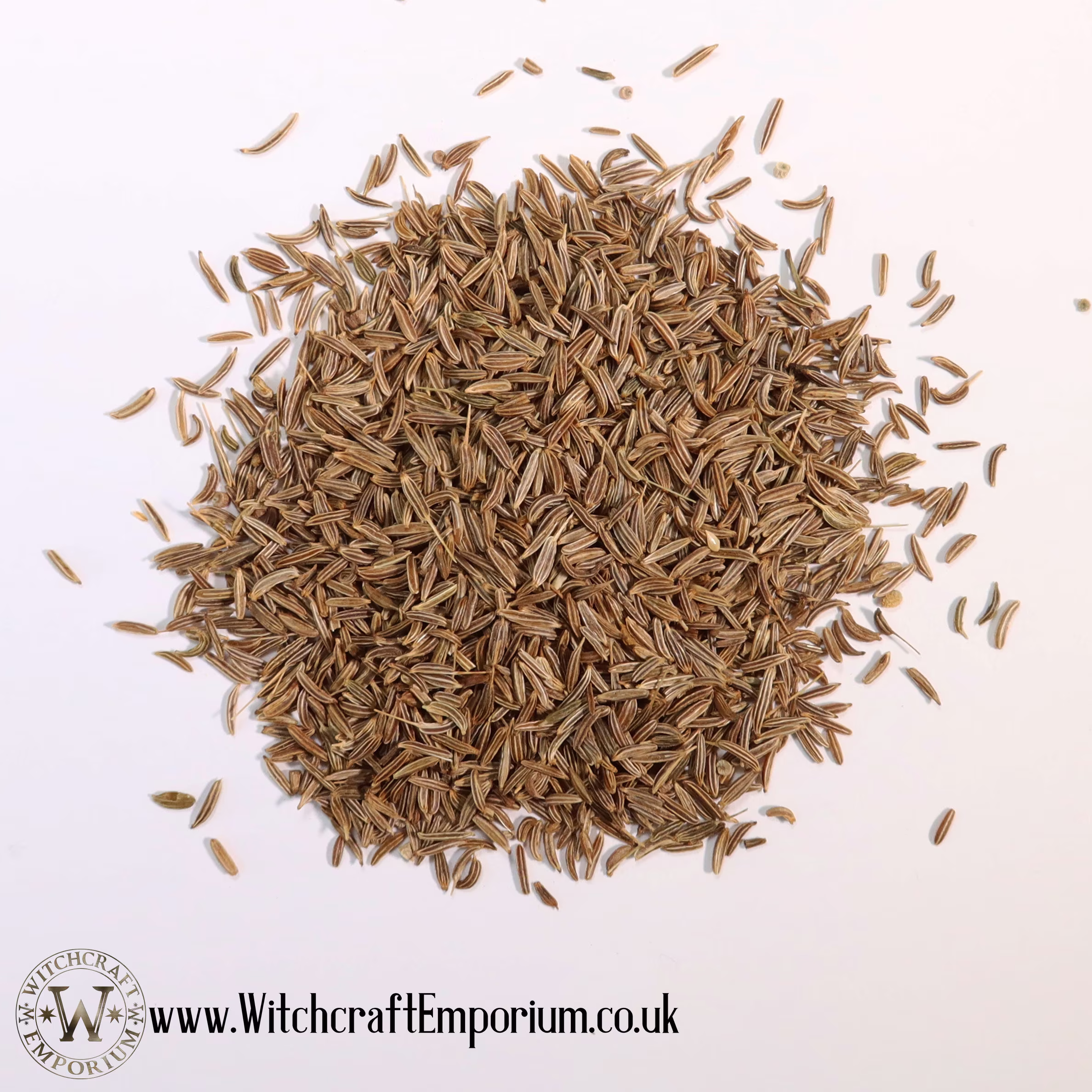 Carraway Seeds - Herb Organic Natural Vegan Pagan Wicca Wiccan Spell Potion Ritual Magic Magick Energy Tea