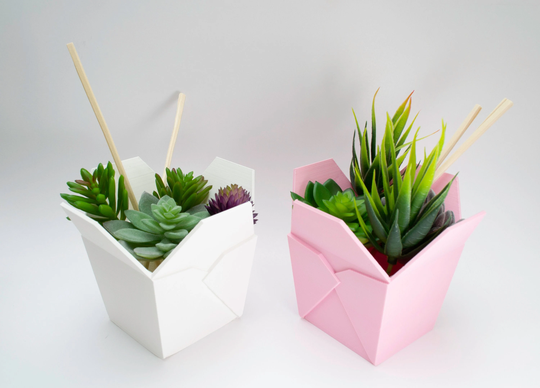 Chinese Takeout Planter, Pot, Box | 3D Printed, Perfect For Succulents, Houseplants, Etc