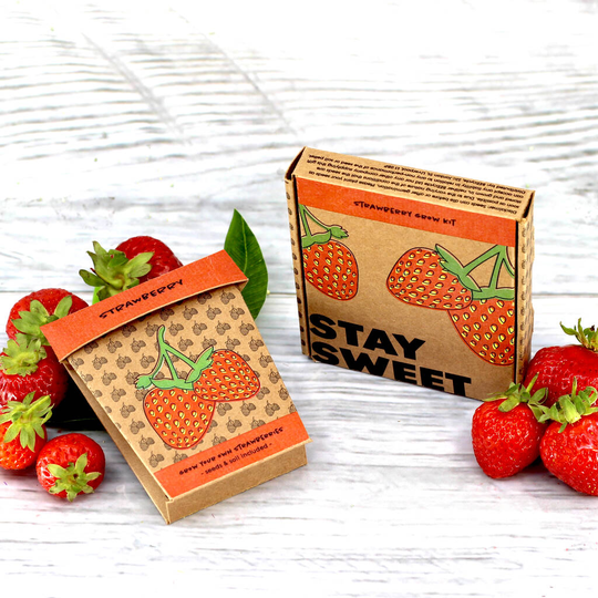 Stay Sweet Strawberry Grow Pot Kit