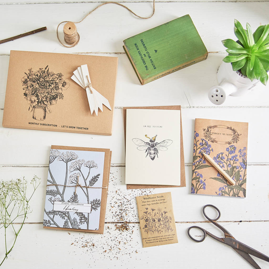 Three Month Wildflower Seed And Stationery Subscription