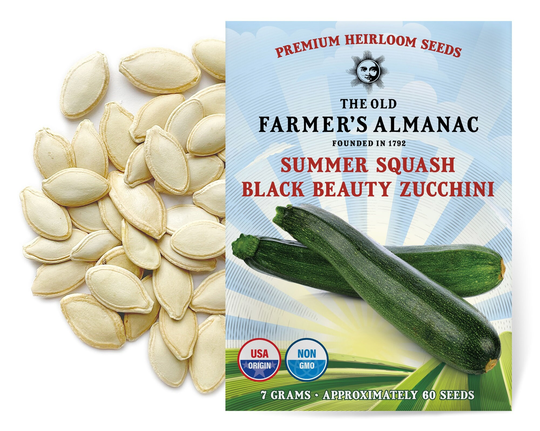 The Old Farmer's Almanac Heirloom Summer Squash Seeds | Black Beauty Zucchini