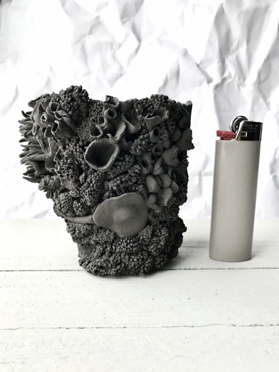 stingray Textured Coral Reef Ocean Sea Ceramic Succulent Planter Small Flower Pot | Organic Textural Design Sculpture With Drainage Hole