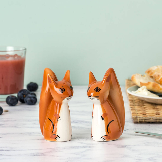 Handmade Ceramic Squirrel Salt And Peppers