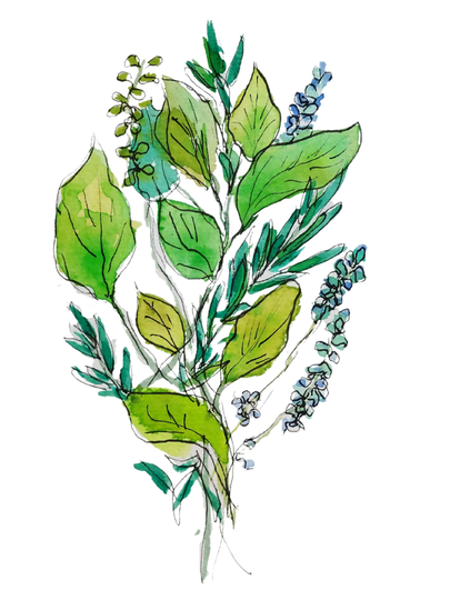 Fine Art Print-Sachet