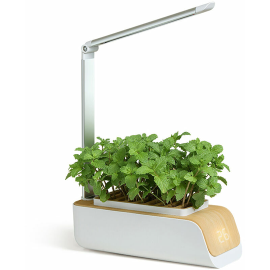 Hydroponics System, Indoor Herb Garden Kit with Grow Light, White
