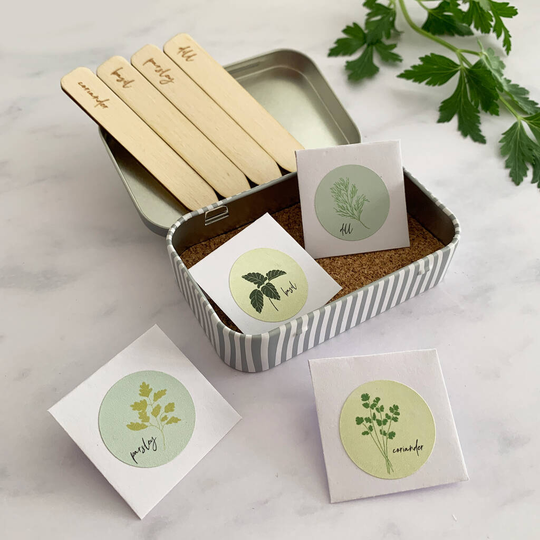 Personalised Thank You Teacher Herb Seed Gift Tin