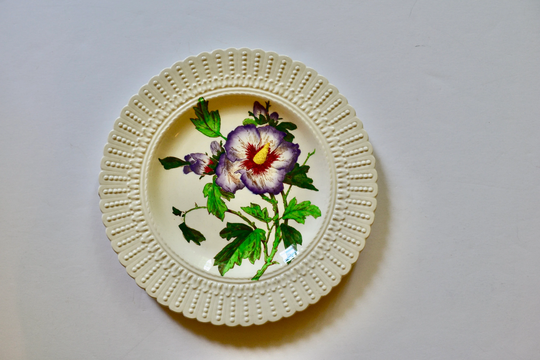 Royal Cauldon Ironstone Flower Series "Hibiscus