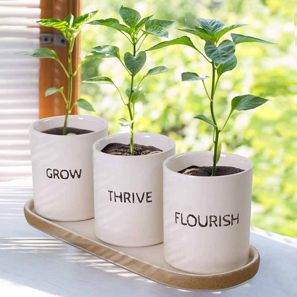 Set Of 3 Contemporary Herb Pots With Tray Kitchen Windowsill Indoor Garden Flower Pot Trailing Houseplant Planters Gift